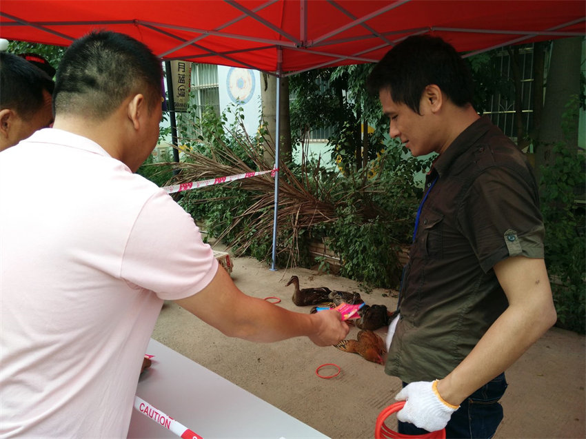 IMG20150704102337.jpg