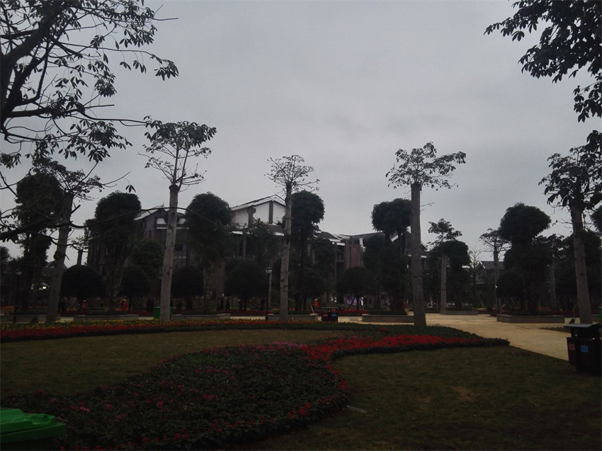 IMG_20151211_103908.jpg