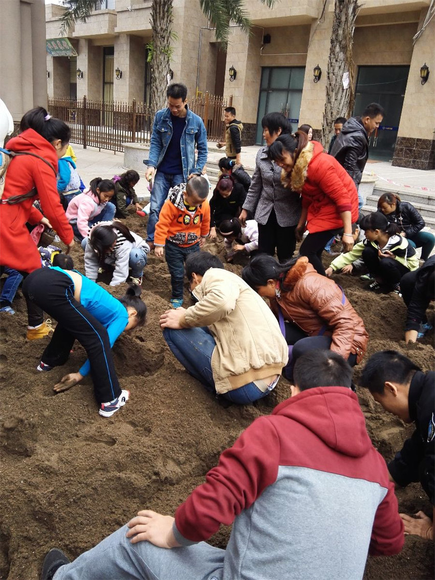 IMG_20151128_114505.jpg